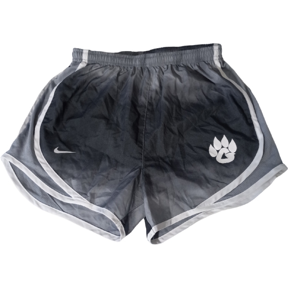 Nike Dri Fit shorts size XS